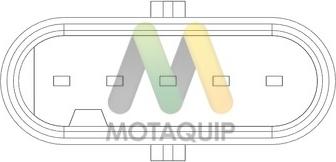 Motaquip LVMA163 - Датчик потоку, маси повітря autozip.com.ua