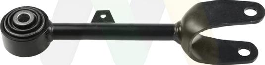 Motaquip LVSA2243 - Важіль незалежної підвіски колеса autozip.com.ua