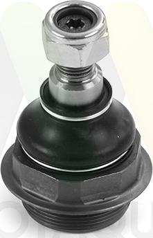Motaquip LVSJ1295 - Шарова опора, несучий / направляючий шарнір autozip.com.ua