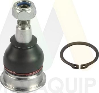 Motaquip LVSJ1282 - Шарова опора, несучий / направляючий шарнір autozip.com.ua