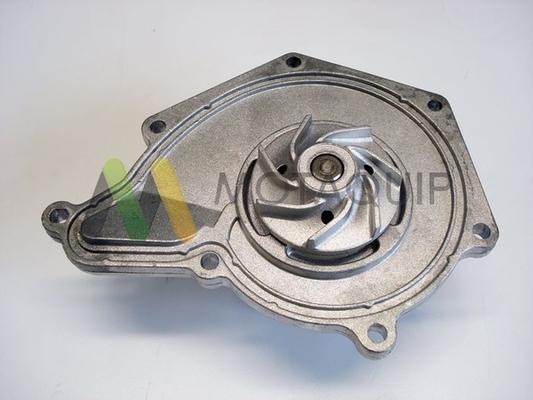 Motaquip LVWP965 - Водяний насос autozip.com.ua