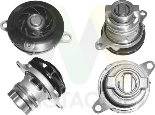 Motaquip LVWP1145 - Водяний насос autozip.com.ua