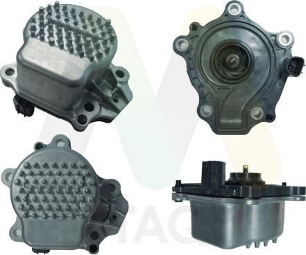 Motaquip LVWP1159 - Водяний насос autozip.com.ua