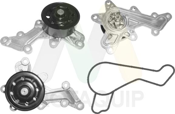 Motaquip LVWP1160 - Водяний насос autozip.com.ua