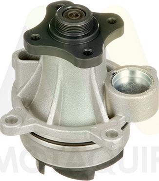 Motaquip LVWP1101 - Водяний насос autozip.com.ua
