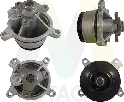 Motaquip LVWP1138 - Водяний насос autozip.com.ua