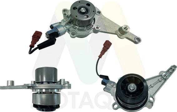 Motaquip LVWP1133V - Водяний насос autozip.com.ua