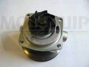 Motaquip VWP557 - Водяний насос autozip.com.ua