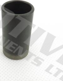 MOTIVE CF10 - Штовхач, гидрокомпенсатор autozip.com.ua