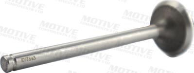 MOTIVE EV7843 - Випускний клапан autozip.com.ua
