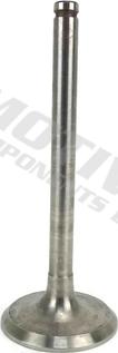 MOTIVE IV8181 - Впускний клапан autozip.com.ua