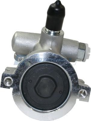 Motorherz P1069HG - Гідравлічний насос, рульове управління, ГУР autozip.com.ua