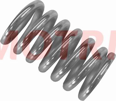 MOTRIO 8550503771 - Пружина, труба вихлопного газу autozip.com.ua