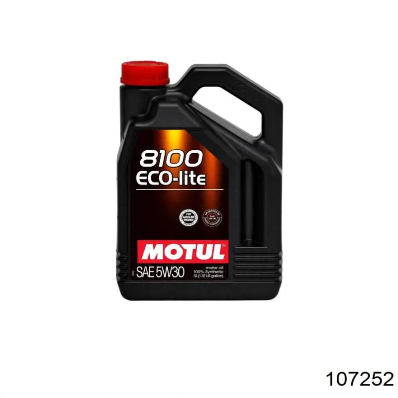 Motul 107252