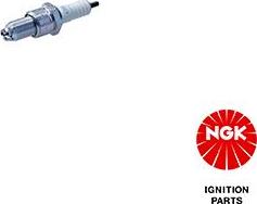 NGK 3172 - Свічка запалювання autozip.com.ua