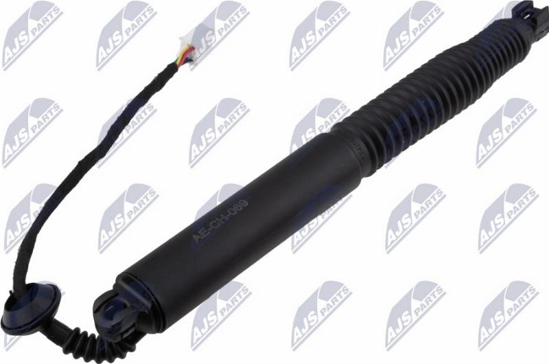 NTY AE-CH-069 - Електромотор, задні двері autozip.com.ua