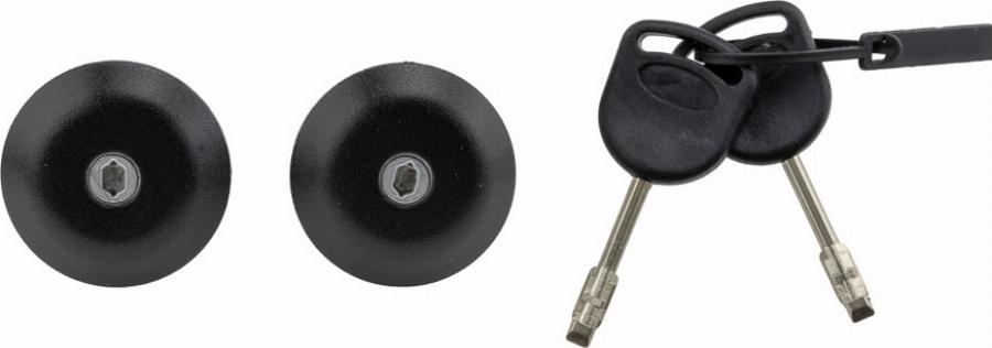 NTY EZC-FR-089 - Ручка двері autozip.com.ua