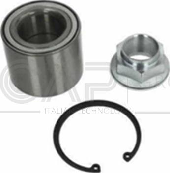 OCAP 6120307 - Комплект підшипника маточини колеса autozip.com.ua