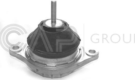 OCAP 1225019 - Подушка, підвіска двигуна autozip.com.ua