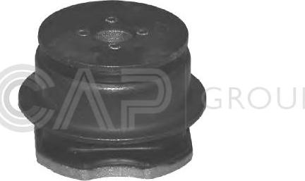 OCAP 1225815 - Подушка, підвіска двигуна autozip.com.ua