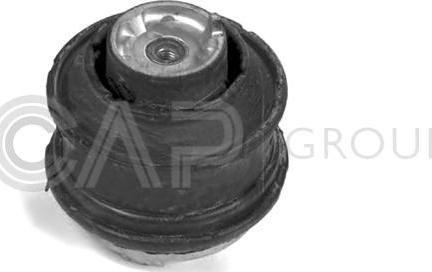 OCAP 1225310 - Подушка, підвіска двигуна autozip.com.ua