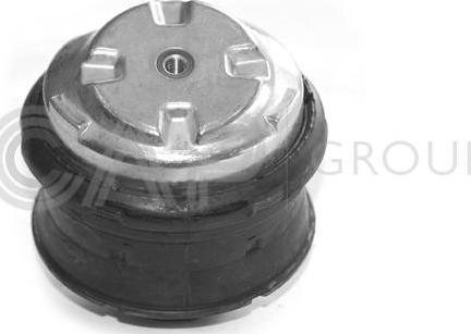 OCAP 1225282 - Подушка, підвіска двигуна autozip.com.ua