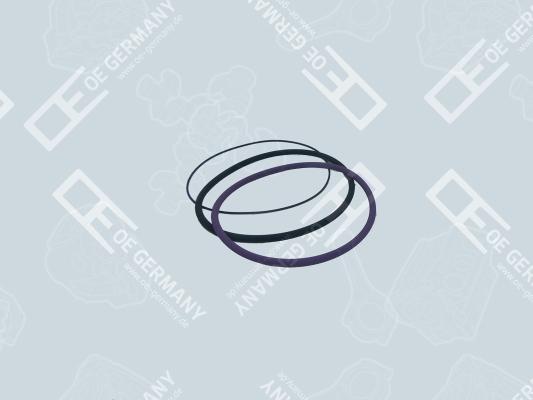 OE Germany 03 0111 100000 - Комплект прокладок, гільза циліндра autozip.com.ua