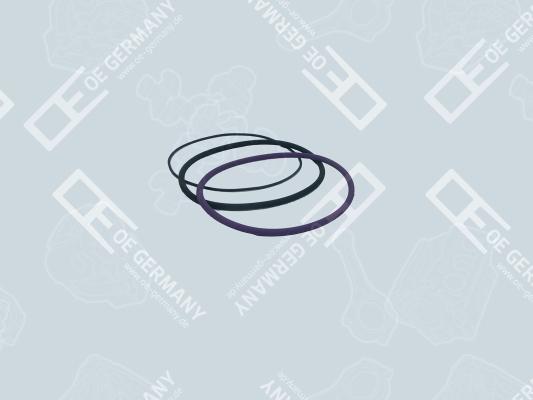 OE Germany 03 0111 101000 - Комплект прокладок, гільза циліндра autozip.com.ua