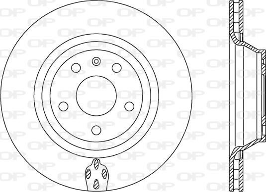 Open Parts BDR2484.20 - Гальмівний диск autozip.com.ua