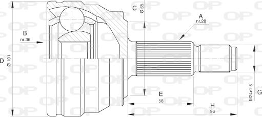 Open Parts CVJ5580.10 - Шарнірний комплект, ШРУС, приводний вал autozip.com.ua
