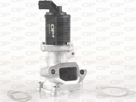 Open Parts EGR3025.00 - Клапан повернення ОГ autozip.com.ua