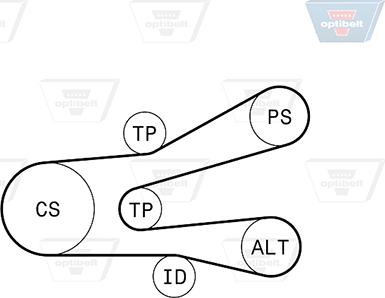 Optibelt 6 PK 1440KT1 - Поликлиновий ремінний комплект autozip.com.ua