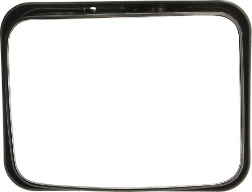 Pacol DAF-MR-025 - Зовнішнє дзеркало autozip.com.ua