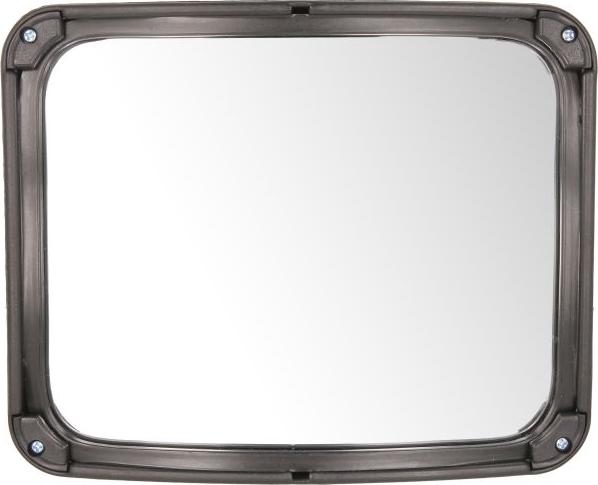 Pacol DAF-MR-026 - Зовнішнє дзеркало autozip.com.ua