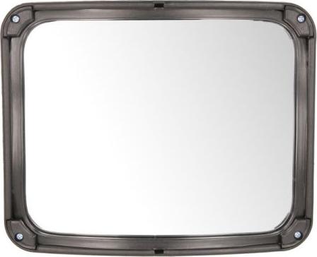Pacol DAF-MR-026 - Зовнішнє дзеркало autozip.com.ua