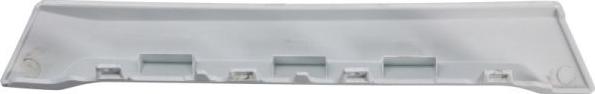 Pacol DAF-SP-034L - Підніжка, накладка порога autozip.com.ua