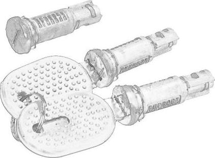 Pacol IVE-DH-021 - Циліндр замка autozip.com.ua