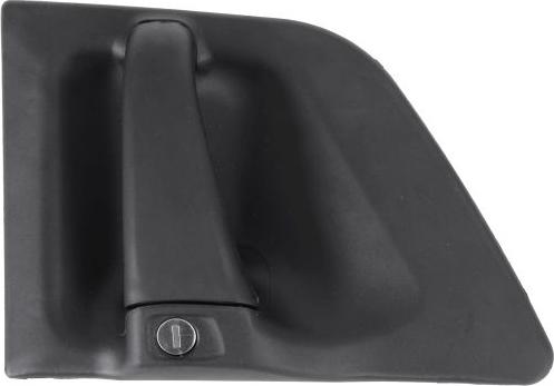 Pacol SCA-DH-005R - Ручка двері autozip.com.ua