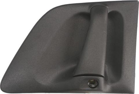 Pacol SCA-DH-001L - Ручка двері autozip.com.ua