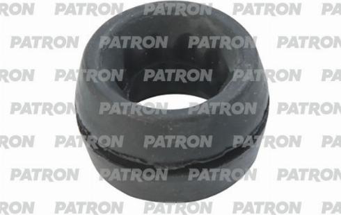 Patron PSE11750 - Кронштейн, корпус повітряного фільтра autozip.com.ua
