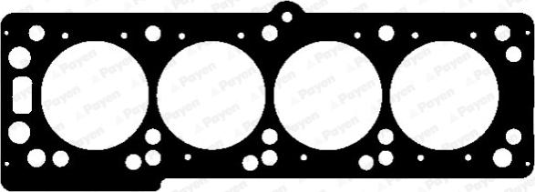 Payen AG9570 - Прокладка, головка циліндра autozip.com.ua