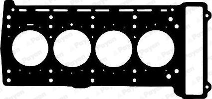 Payen AG8790 - Прокладка, головка циліндра autozip.com.ua