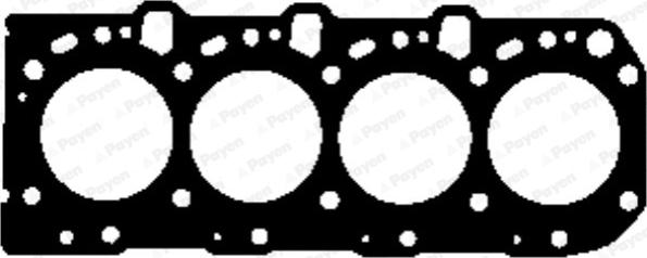 Payen AG7520 - Прокладка, головка циліндра autozip.com.ua