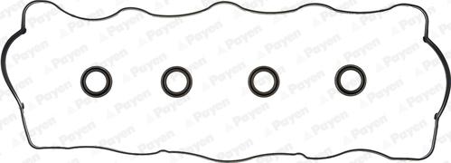 Payen HM5251 - Комплект прокладок, кришка головки циліндра autozip.com.ua