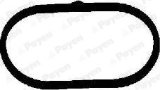 Payen JD5820 - Прокладка, впускний колектор autozip.com.ua