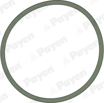 Payen JD5228 - Прокладка, впускний колектор autozip.com.ua