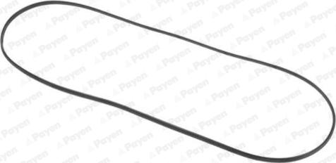 Payen JN707 - Прокладка, кришка головки циліндра autozip.com.ua