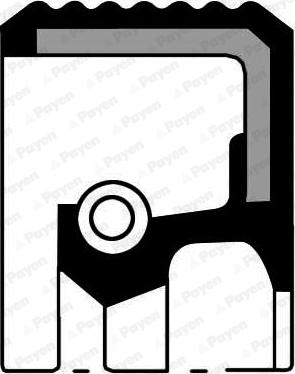 Payen NA5480 - Кольцо вала. фланец ступенчатой коробки передач FIAT 36x54x10-13.5 ACM пр-во Payen autozip.com.ua