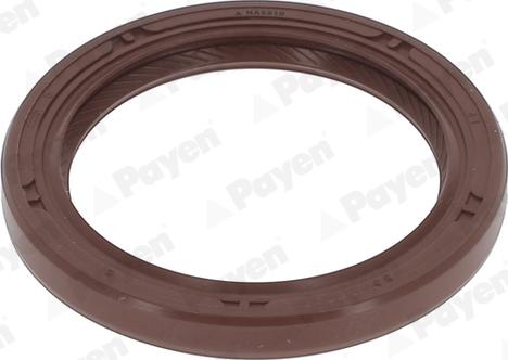Payen NA5510 - Ущільнене кільце, колінчастий вал autozip.com.ua