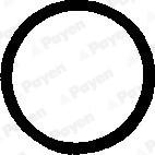 Payen PB248 - Прокладка, болт кришка головки циліндра autozip.com.ua